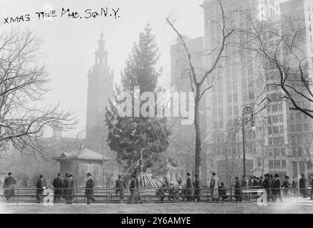 Weihnachtsbaum - Madison Square. N.J., zwischen ca. 1910 und ca. 1915, Weihnachten, Glasnegative, 1 negativ: Glas; 5 x 7 Zoll Oder kleiner. Stockfoto