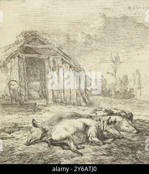 Three Pigs in a Pen, Animals (Titel der Serie), Print, Druckerei: Karel du Jardin, (auf dem Objekt erwähnt), nach eigenem Entwurf von: Karel du Jardin, Verlag: Karel du Jardin, Amsterdam, 1652, Papier, Ätzen, Höhe, 151 mm x Breite, 136 mm Stockfoto