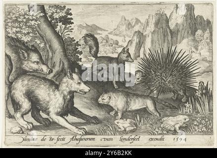 Wildschweine, Füchse, Biber, Stachelschweine und Frösche, Animalivm qvadrvpedvm (Serientitel), Tiere in Landschaften (Serientitel), Druck, Druckerei: Nicolaes de Bruyn, (auf Objekt erwähnt), nach eigenem Entwurf von: Nicolaes de Bruyn, Verlag: Assuerus van Londerseel, (auf Objekt erwähnt), Druckerei: Niederlande, Verlag: Antwerpen, 1594, Papier, Gravur, Höhe, 88 mm x Breite, 129 mm Stockfoto
