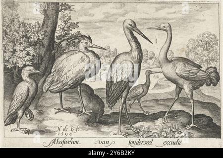 Storch, Kran, Reiher und Löffelschnabel, Vögel und Insekten (Serientitel), Druck, Druckerei: Nicolaes de Bruyn, (erwähnt auf Objekt), nach eigenem Entwurf von: Nicolaes de Bruyn, Verlag: Assuerus van Londerseel, (erwähnt auf Objekt), Antwerpen, 1594, Papier, Gravur, Höhe, 85 mm x Breite, 127 mm Stockfoto