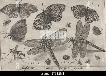 Schmetterlinge und Libellen, Vögel und Insekten (Serientitel), Druck, Druckerei: Nicolaes de Bruyn, (erwähnt auf Objekt), nach eigenem Entwurf von: Nicolaes de Bruyn, Verlag: Assuerus van Londerseel, (erwähnt auf Objekt), Antwerpen, 1594, Papier, Gravur, Höhe, 86 mm x Breite, 126 mm Stockfoto