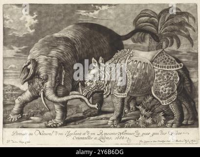 Elefant and Rhinoceros, Elefant and Rhinoceros, Portrait au Naturel d'un Elephant et d'un Rhinoceros Arrivez de puis peu des Indes Orientalles a Londres (Titel über Objekt), in einer Landschaft mit Palmen und Sträuchern gibt es einen Elefanten und ein Nashorn., Druck, Druckerei: Pieter van den Berge, (erwähnt auf Objekt), Verlag: Jaques Le Moine de l,, Objekt, Amsterdam, Objekt, Artikel, Artikel, Artikel auf 1686 Papier, Artikel auf Papier, Artikel auf Papier, 1696 Gravur, Höhe, 231 mm x Breite, 322 mm Stockfoto