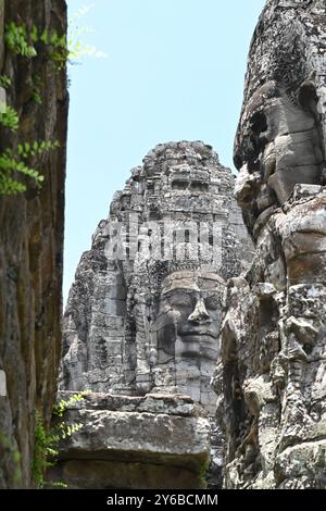 Geschnitzter Kopf im Angkor Wat Tempelkomplex Stockfoto