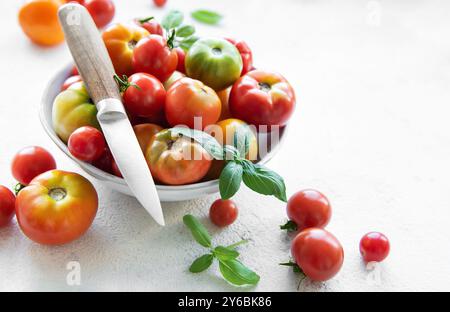 Eine Vielzahl von bunten Tomaten sind wunderschön in einer Schüssel angeordnet, begleitet von frischen Kräutern, wobei ein Messer in der Nähe auf eine saubere Küchenzeile gestellt wird Stockfoto