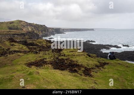 Die Londrangar Basalt Cliffs (Hellnar) in Island an einem Sommertag Stockfoto