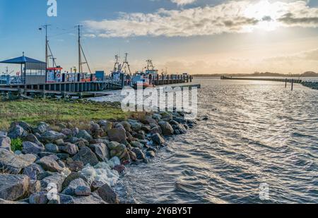 Landschaft rund um Maasholm, eine Gemeinde in Schleswig-Holstein, Norddeutschland Stockfoto