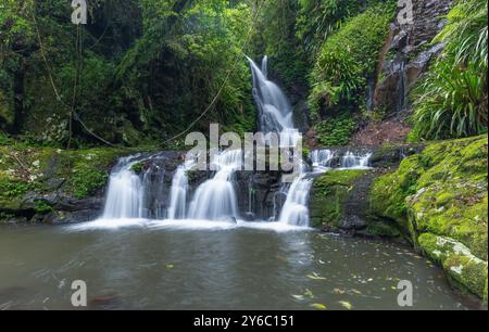 Seitenansicht der Elabana-Fälle im lamington-Nationalpark Stockfoto