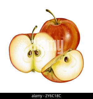 Zusammensetzung von drei Äpfeln. Ganze, halbierte und geviertelte Äpfel. Die Frucht ist rot. Aquarellabbildung. Stockfoto