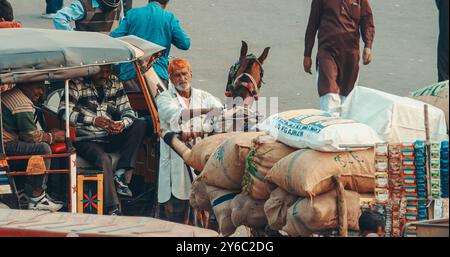 Jaipur, Rajasthan, Indien. Pferdewagen, beladen mit Waren. Auto Rikscha oder Tuk-Tuk Warten auf Passagiere. Das Tägliche Leben Indiens. Frachtwagen. Hart Stockfoto