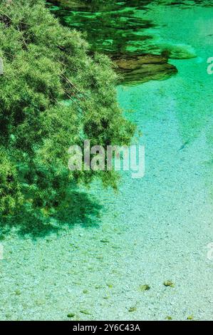 Fluss Sava Bohinjka, Nationalpark Triglav, Slowenien Stockfoto