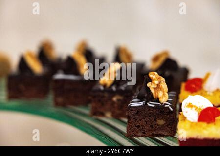 Dunkle Schokolade Brownies Tortengarnitur mit Walnuss und Schokoladencreme (selektiver Fokus) Stockfoto