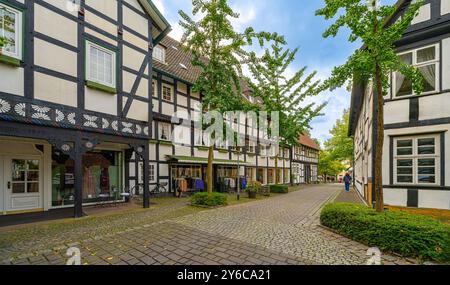 Fachwerkhäuser in Haller Herz, Halle, Ostwestfalen, Nordrhein-Westfalen, Deutschland Stockfoto