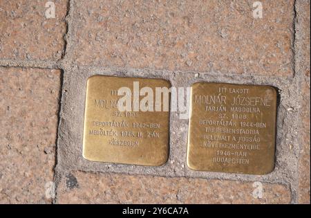 Stolpersteine (Stolpersteine, botlatókő) an Joszef Molnar und Jozsefne Molnar, Juden getötet im Holocaust, Kiraly utca 34, Budapest, Ungarn Stockfoto