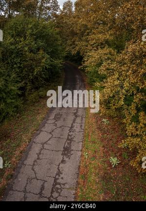 Blick aus der Vogelperspektive auf eine Straße im Wald im Herbst Stockfoto