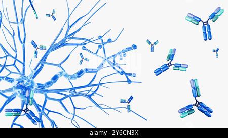 Antikörper können helfen, Neuroentzündungen zu regulieren, die für die Gesundheit des Gehirns wichtig sind, aber mit Krankheiten wie Alzheimer und Multiple Sklerose in Verbindung gebracht werden Stockfoto