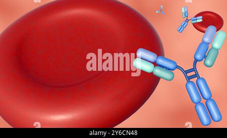 3D-Rendering von Antikörpermolekülen, die um Erythrozyten oder Erythrozyten verstreut sind. Stockfoto