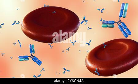 3D-Rendering von Antikörpermolekülen, die um Erythrozyten oder Erythrozyten verstreut sind. Stockfoto
