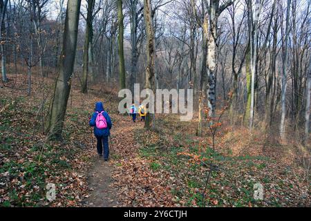 Unerkannte Frau mit kleinem rosa Rucksack am Ende einer Gruppe von Menschen, die im Wald spazieren gehen Stockfoto