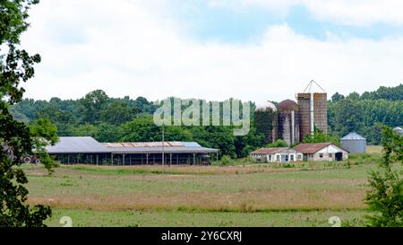 Landschaft mit einer verlassenen Milchfarm mit alten, baufälligen Gebäuden und aufrechten Silos. Stockfoto