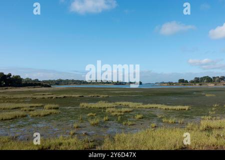 Sarzeau (Bretagne, Nordwestfrankreich): Der Golf von Morbihan in der Nähe des Yachthafens von Logeo Stockfoto