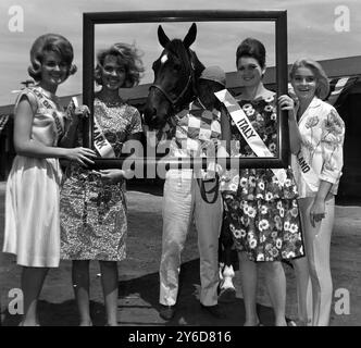 MISS UNIVERSE CONTESTANTS IN NEW YORK: ELLEN LIEBENBERG, GIANNA SERRA, AINO KORVA UND MISS ENGLAND SUSAN PRATT; 11. JULI 1963 Stockfoto