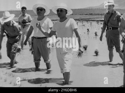 SÜDKOREANISCHER BAUERNTAG IN SEOUL; 17. JUNI 1963 Stockfoto