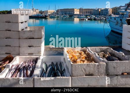 Fangfrische Meeresfrüchte zum Verkauf im Porto di Trani, Italien Stockfoto