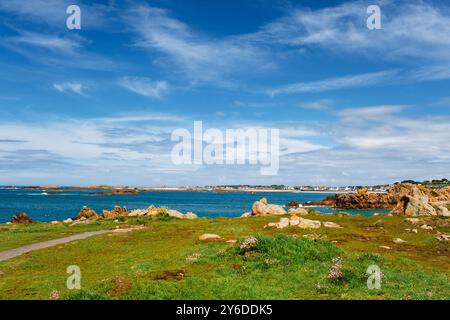 Cobo Bay von Le Creux Küstenpfad mit Sea Pinks blüht im Sommer. Castel, Guernsey, Kanalinseln, Großbritannien, Europa Stockfoto