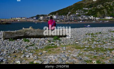 Frau und Hund sitzen auf einem angespülten Baum gegenüber der Küstenstadt Barmouth mit Blick auf den Hafen und Barmouth Town. Stockfoto