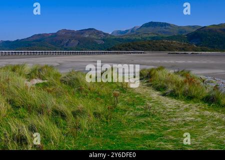 Mawddach Mündung von Fairbourne bei Ebbe, Blick nach Osten zum Cadair Idris Ridge mit Barmouth Eisenbahn/Fußbrücke im mittleren Bild. Stockfoto