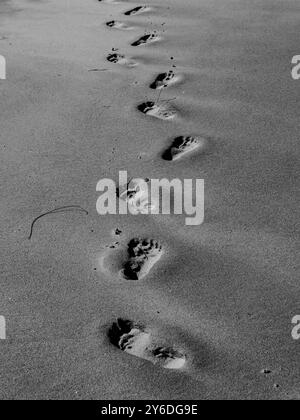 Schwarz-weiß-Foto von Fußabdrücken im Sand an einem Strand, die eine einzelne Reihe von Stufen zeigen, die wegführen. Stockfoto