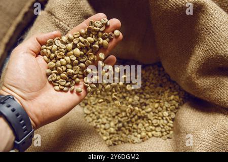 Nahaufnahme des handgegossenen Kaffeebohnen in einen Jutebeutel von oben, der die reichhaltige Textur und Farbe der Bohnen zeigt Stockfoto