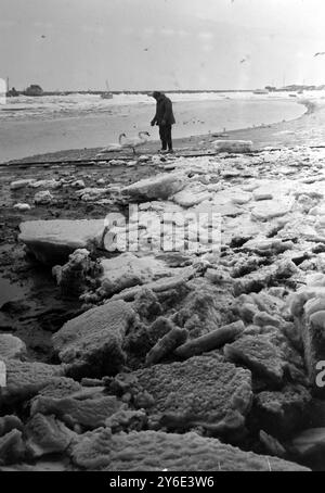 WINTERMENSCH ERNÄHRT SCHWÄNE AN EISGEBUNDENER KÜSTE IN BENFLEET ESSEX ; 21. JANUAR 1963 Stockfoto