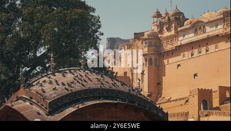 Tauben Sitzen Auf Einem Der Dächer Von Gate. Amer Fort Oder Amber Fort Ist Im Hintergrund Sichtbar. Amber Fort, Amer Palace Ist Ein Großartiges Beispiel Für Rajput Stockfoto