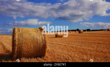 Heu-Bailes warten auf die Abholung von einem Feld in Irland. Ein schönes sonniges Feld mit flauschigen weißen Wolken und Heu. Stockfoto
