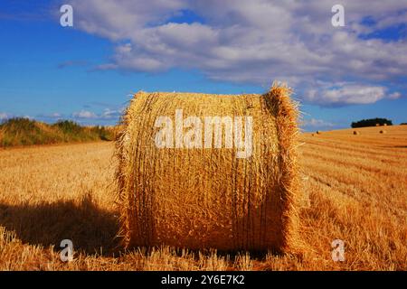 Heu-Bailes warten auf die Abholung von einem Feld in Irland. Ein schönes sonniges Feld mit flauschigen weißen Wolken und Heu. Stockfoto