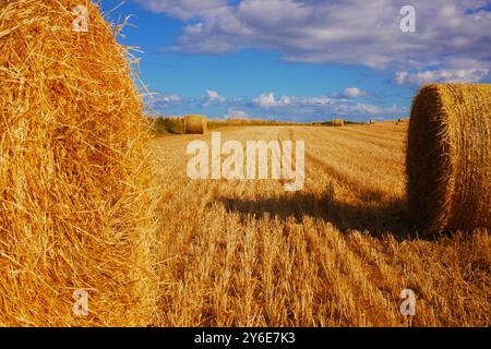 Heu-Bailes warten auf die Abholung von einem Feld in Irland. Ein schönes sonniges Feld mit flauschigen weißen Wolken und Heu. Stockfoto