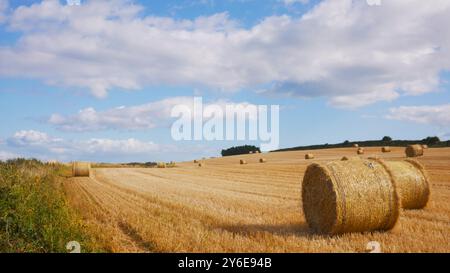 Heu-Bailes warten auf die Abholung von einem Feld in Irland. Ein schönes sonniges Feld mit flauschigen weißen Wolken und Heu. Stockfoto