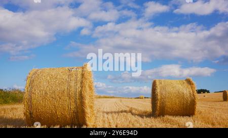 Heu-Bailes warten auf die Abholung von einem Feld in Irland. Ein schönes sonniges Feld mit flauschigen weißen Wolken und Heu. Stockfoto