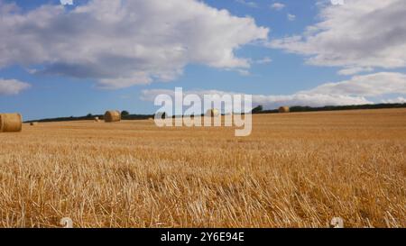Heu-Bailes warten auf die Abholung von einem Feld in Irland. Ein schönes sonniges Feld mit flauschigen weißen Wolken und Heu. Stockfoto