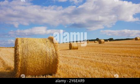 Heu-Bailes warten auf die Abholung von einem Feld in Irland. Ein schönes sonniges Feld mit flauschigen weißen Wolken und Heu. Stockfoto