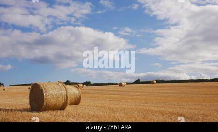 Heu-Bailes warten auf die Abholung von einem Feld in Irland. Ein schönes sonniges Feld mit flauschigen weißen Wolken und Heu. Stockfoto