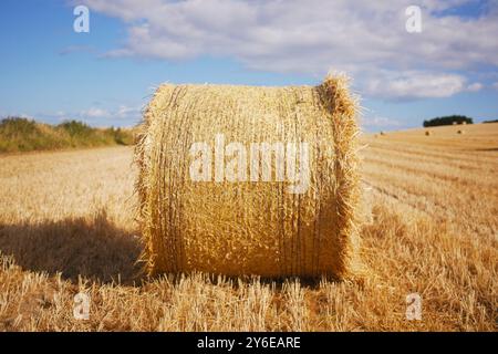 Heu-Bailes warten auf die Abholung von einem Feld in Irland. Ein schönes sonniges Feld mit flauschigen weißen Wolken und Heu. Stockfoto