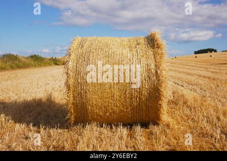 Heu-Bailes warten auf die Abholung von einem Feld in Irland. Ein schönes sonniges Feld mit flauschigen weißen Wolken und Heu. Stockfoto