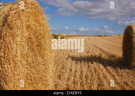 Heu-Bailes warten auf die Abholung von einem Feld in Irland. Ein schönes sonniges Feld mit flauschigen weißen Wolken und Heu. Stockfoto