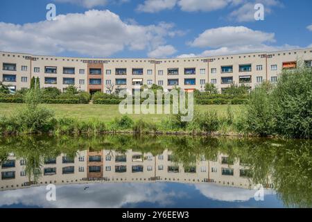 Wohnhäuser, Hufeisenteich, Lowise-Reuter-Ring, Hufeisensiedlung, Britz, Neukölln, Berlin, Deutschland Stockfoto