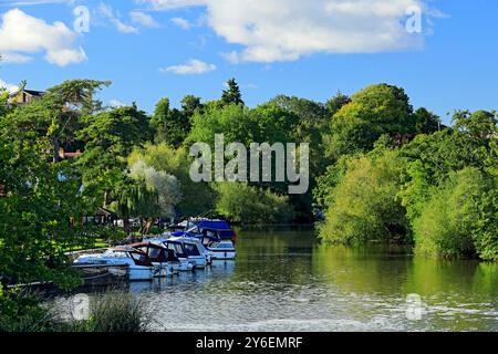 River Avon, Saltford Weir, Saltford in der Nähe von Bath, Somerset. Stockfoto