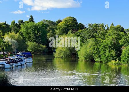 River Avon, Saltford Weir, Saltford in der Nähe von Bath, Somerset. Stockfoto