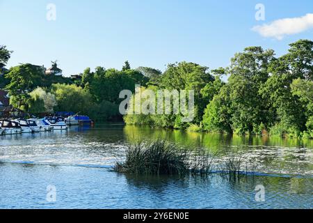 River Avon, Saltford Weir, Saltford in der Nähe von Bath, Somerset. Stockfoto