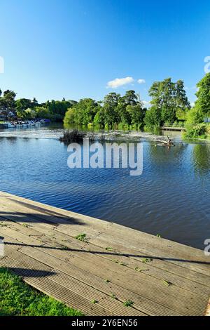 River Avon, Saltford Weir, Saltford in der Nähe von Bath, Somerset. Stockfoto